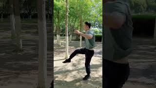 Bajiquan Master at 52. #bajiquan