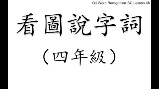 G4 Better Chinese Level 4 Lesson 48 Word Recognition