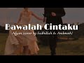 Bawalah pergi cintaku-Afgan//cover Fadhillah & Andmesh//liriklagu