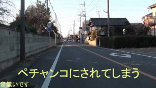 子犬がはねられた瞬間