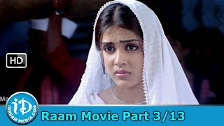 Raam Telugu Movie Part 3/13 - Nitin, Genelia