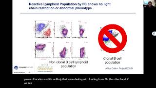 WHO Reporting System for Cytopathology of Lymph Node and Spleen: Overview