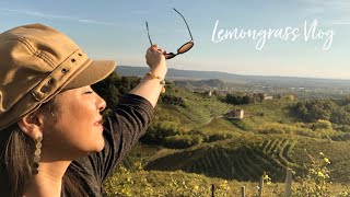 Prosecco Hills 🍾 Where we pick up our Prosecco in Valdobbiadene.