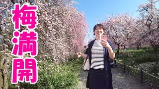 梅の花満開☆和泉リサイクル環境公園