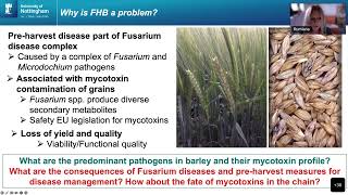 IBH Seminar: Fusarium Head Blight