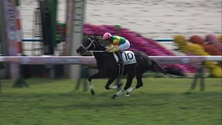 【現地】2024 メイクデビュー エコロディノス R.ムーア【京都競馬場】