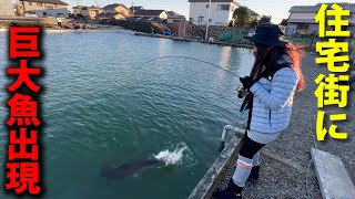 埼玉県に新しくできたエリアトラウトがヤバすぎる！【管理釣り場・弁天閣TSURIBORI】