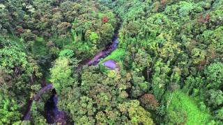 Phantom 3, Hakalau Valley, Big Island HI.