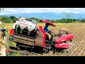 CARA MESIN PANEN PADI YANMAR YH 850 MASUK KE SAWAH JEPUN BALONG PONOROGO