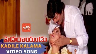 Kadile Kalama Video Song | Pedarayudu Telugu Full Movie | Rajinikanth | Mohan Babu | YOYO TV Music