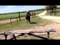 Horse Breaking Fail | Cowboy Gets BUCKED!