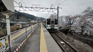 高尾駅を出発し、桜がある駅勝沼ぶどう郷駅にたどりつき、そして、甲府駅を目指して、同駅を出発する中央本線２１１系