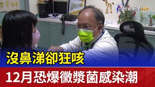 沒鼻涕卻狂咳 12月恐爆黴漿菌感染潮