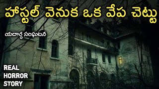 Ghost Tree - Real Horror Story in Telugu | Telugu Stories | Telugu Kathalu | Psbadi | 23/12/2022