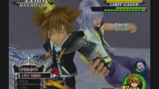 Sora, Riku, and Roxas VS. Ultimate Marluxia