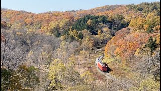 最後の秋景色。来春引退予定の釧クシ・キハ４０根室本線を行く。タラコ、ツートン一般色の国鉄時代（風）のリバイバル塗装車も Nemuro line,East Hokkaido area,Japan