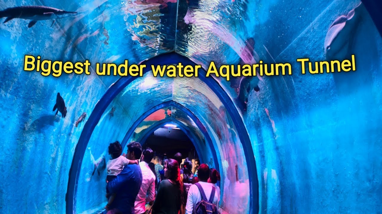 Under Water Fish Tunnel Exhibition | First Time In Bangalore | Biggest ...