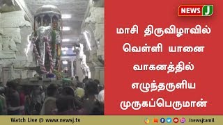 திருச்செந்தூர் மாசி திருவிழாவில் யானை வாகனத்தில் எழுந்தருளிய முருகப்பெருமான்