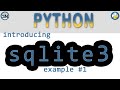 How to use SQLite3 database in Python (Create Database (Memory|Disk), Table, Insert and Select)