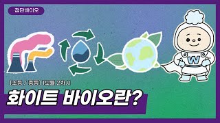 [신산업 진로체험] 첨단바이오 / 초등학교 · 중학교 1모듈 2차시 / 화이트 바이오란?