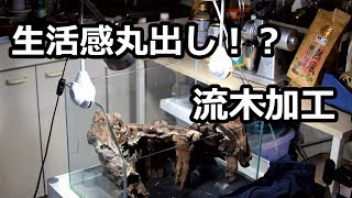 流木加工とライトスタンド　【食虫植物園立ち上げ準備？part0】