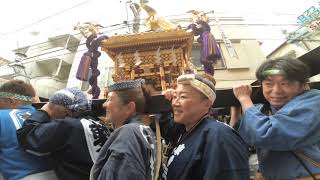 令和元年  　   品川区 旗岡八幡神社   本社神輿おもてなし渡御（天皇陛下御即位三十年）奉納渡御です。