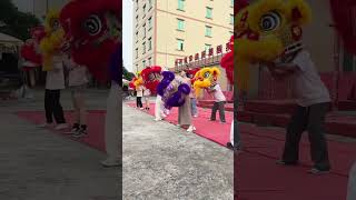 传承醒狮文化，不分男女，你，我，它，#巾帼英雄 #民族特色民族文化 #liondance