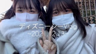 【ツキアト】ねことほののディズニーぶいろぐうう【Vlog】