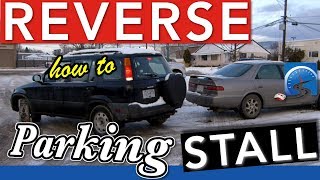 How To Reverse Bay Park Step-By-Step