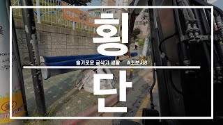 횡단  -  (슬기로운 굴삭기 생활) #초보서8