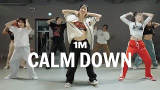 Rema & Selena Gomez - Calm Down / Learner’s Class