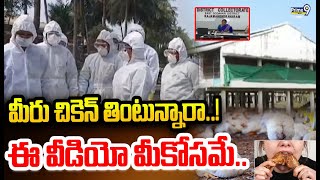 మీరు చికెన్ తింటున్నారా..! ఈ వీడియో మీకోసమే.. | West Godavari District | Prime9 News