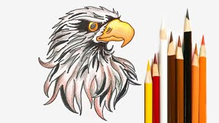How to draw an Eagle, eagle painting, animal painting easy, animal drawing, birds drawing, eagle
