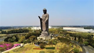 【空撮】牛久大仏 Ushiku Great Buddha