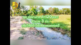 ขายที่ดินสุพรรณบุรีแปลงใหญ่ครุฑแดงทำเลดี