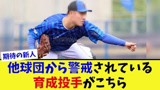 他球団から警戒されているDeNA育成投手がこちら【なんJ プロ野球反応集】【2chスレ】【5chスレ】