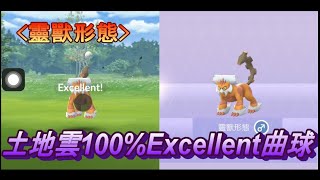 土地雲(靈獸形態)100%Excellent ポケモンGO ランドロス れいじゅうフォルム 霊獣Landorus Therian forme랜드로스 攻略法 Demeteros エクセレント 教學