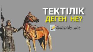 ТЕКТІЛІК дегеніміз не? 🔊