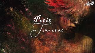 Petit - Tornerai (Nuovo Inedito)(Amici2024)