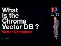 What is the Chroma Vector Database ?