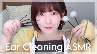 [ASMR] Ear Cleaning / 色んな耳かき [梵天・綿棒・ステンレス・シリコン・指][sleep induction]