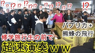 修学旅行生の前で超速演奏したら反応がヤバすぎたww【都庁ピアノ】【熊蜂の飛行＋パプリカ】