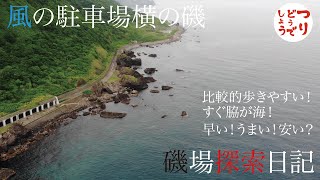 風の駐車場横の磯　磯場探索日記 ヒラメ・ホッケシーズン　北海道積丹方面の釣り