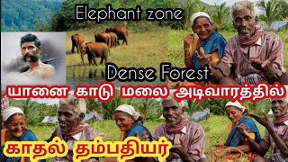 வீரப்பன் அலைந்து திரிந்த காடு|காட்டெருமை யானை காட்டில் ஒரு காதல் தம்பதியர்|ELEPHANT DENSE FOREST|