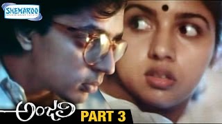Anjali Telugu Full Movie | Tarun | Shamili | Mani Ratnam | Ilayaraja | Part 3 | Shemaroo Telugu