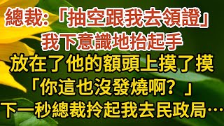 《闪婚总裁》第04集：總裁：「抽空跟我去領證」，我下意識地抬起手，放在了他的額頭上摸了摸，「你這也沒發燒啊？」，下一秒總裁拎起我就去民政局……婚姻#情感 #愛情#甜寵#故事#小說#霸總