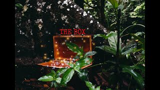 THE BOX SHORT FILM 2021 | FiTA UiTM