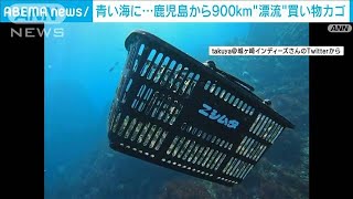 鹿児島から900キロ漂流？　伊豆半島沖にホームセンターの“買い物カゴ”(2023年1月31日)