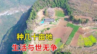 重庆大山发现一户人家住在悬崖之上，种着几十亩地，生活与世无争【乡村阿泰】