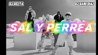 SAL Y PERREA 🔥 SECH, DADDY YANKEE, J BALVIN ( Remix ) DJ DANI FT DIAZ DJ DELTA